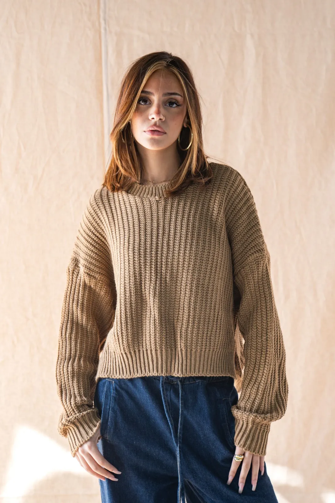 Knitted Cropped Sweater In Camel