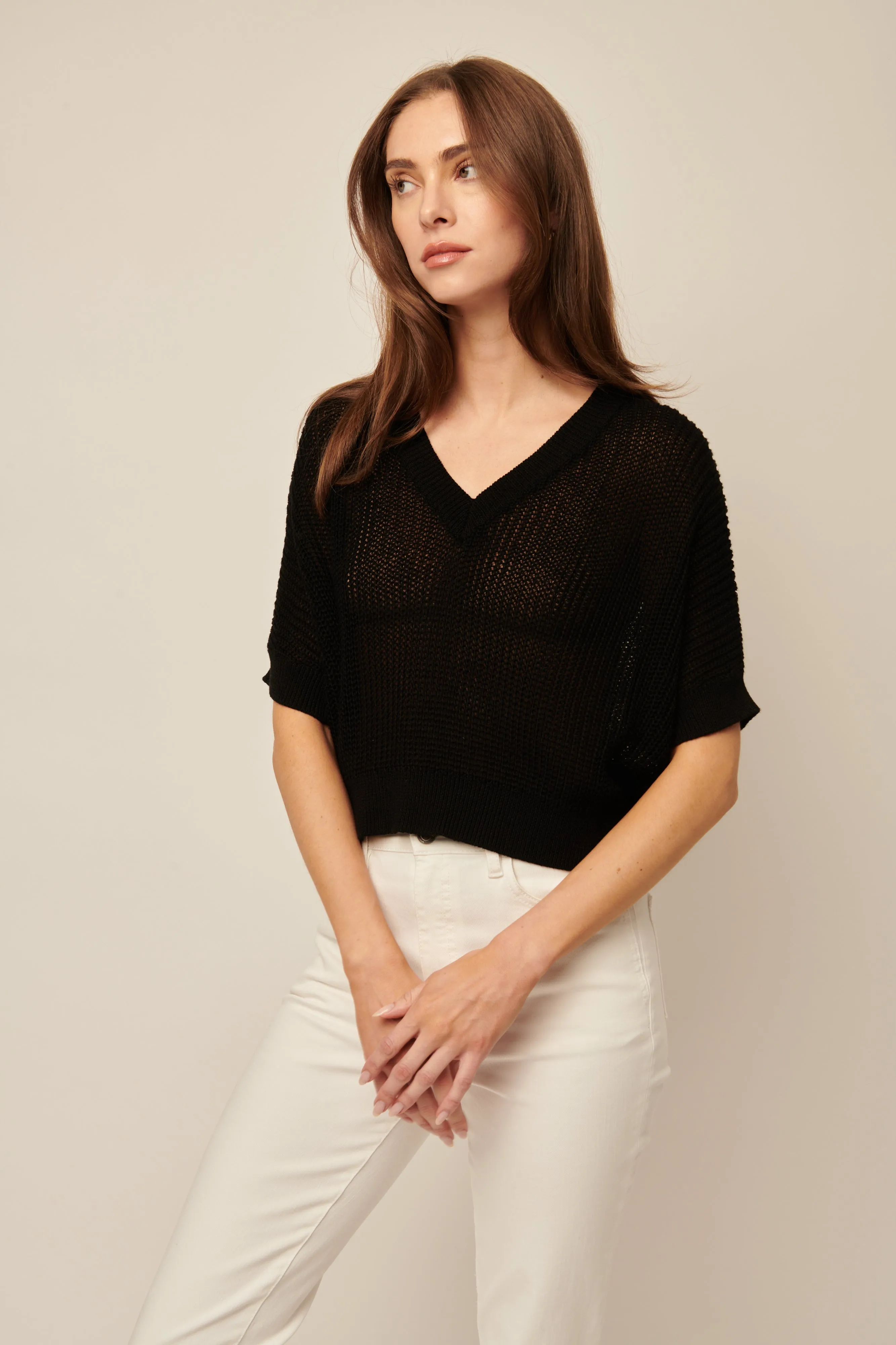 Piper Short Sleeve Knit V-Neck Pullover